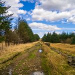 Sarn Helen Roman Road traversing heathland and forest