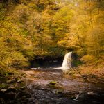 Sgwd Gwladys waterfalls near Pontneddfechan surrounded by golden autumn foliage.